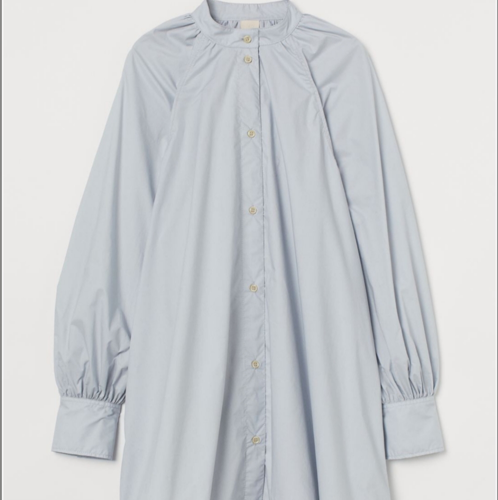 Tunic/dress shirt